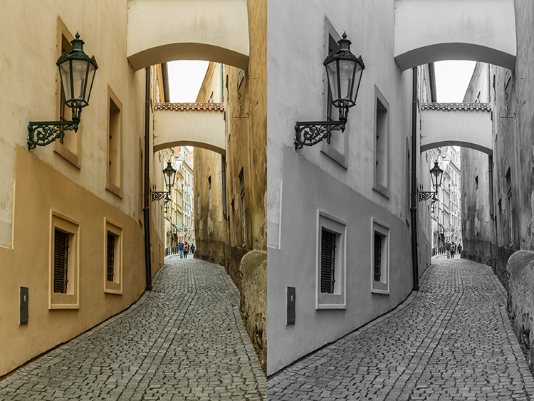 black-and-white-conversions-in-photoshop-greyscale-example