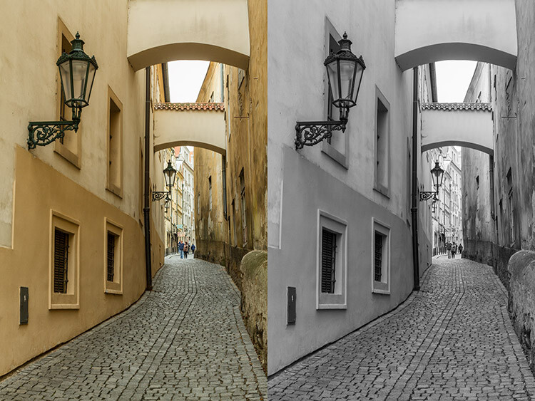 black-and-white-conversions-in-photoshop-greyscale-example