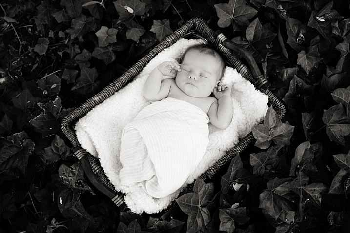 outdoor-newborn