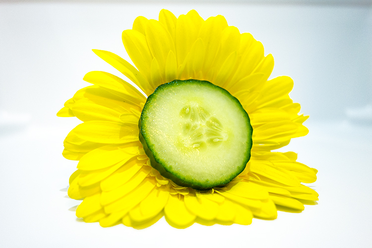 flower-and-cucumber