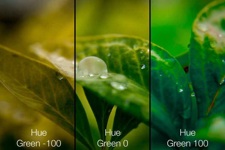 Simply adjusting the green hue can give your nature photos an entirely different look and feel.