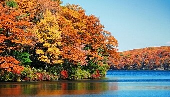 motion-fall-photography01.jpg