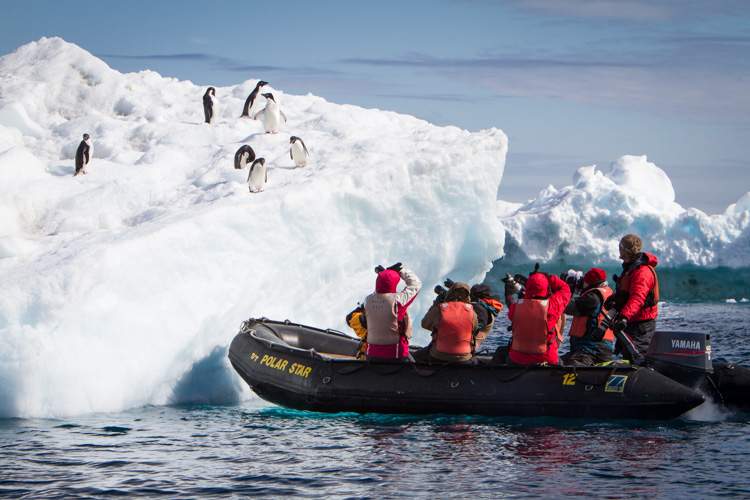 A zodiac pull right up to an iceberg with Adelie Penguins.