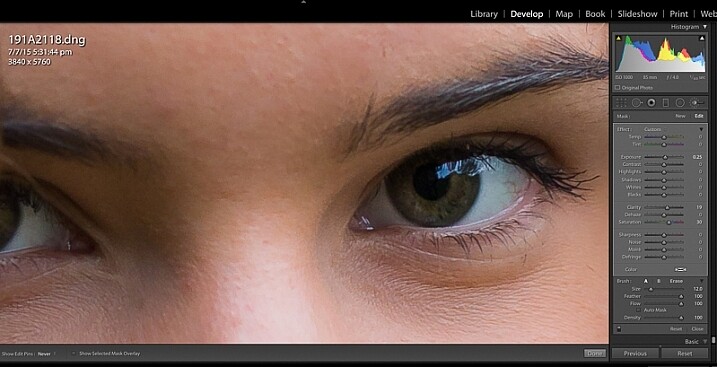 image showing Lightroom custom brush presets