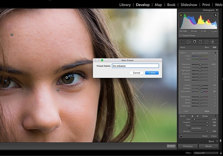 image showing Lightroom custom brush presets