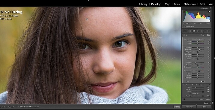 Image showing import create custom Lightroom brush presets