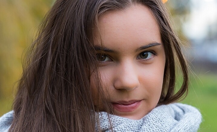 IMage showing Lightroom custom brush presets
