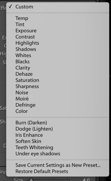 image showing Lightroom custom brush presets