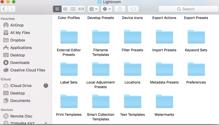 Image showing Lightroom custom brush presets