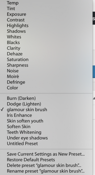 Image showing import Lightroom brush presets