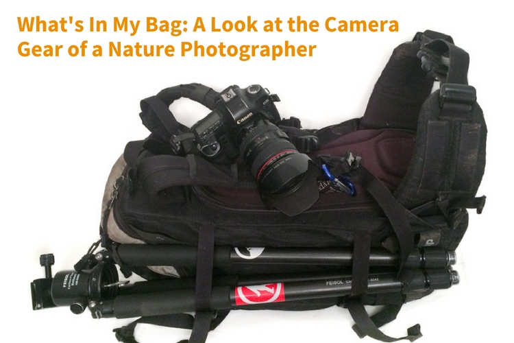 whats-in-my-bag-a-look-at-the-camera-gear-of-a-nature-photographer