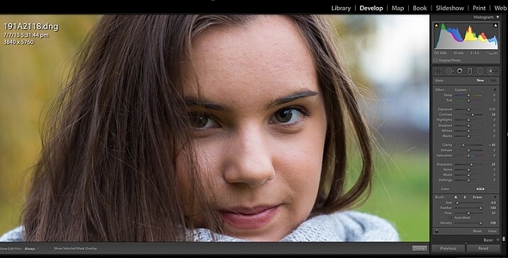 Image showing Lightroom custom brush presets