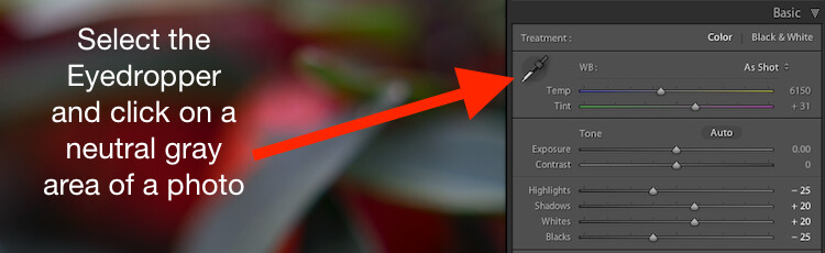 White Balance got you down? The Eyedropper is here to help.