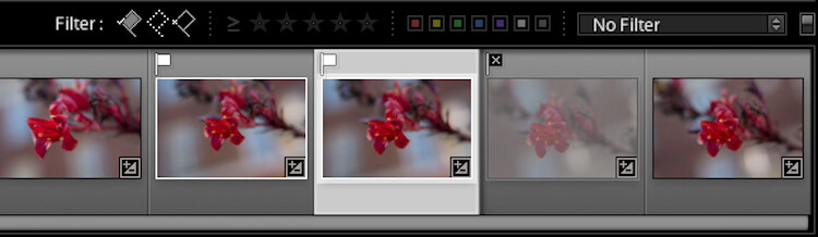 Once you mark your images as Flagged or Rejected, use the filter icons to choose which photos to display.