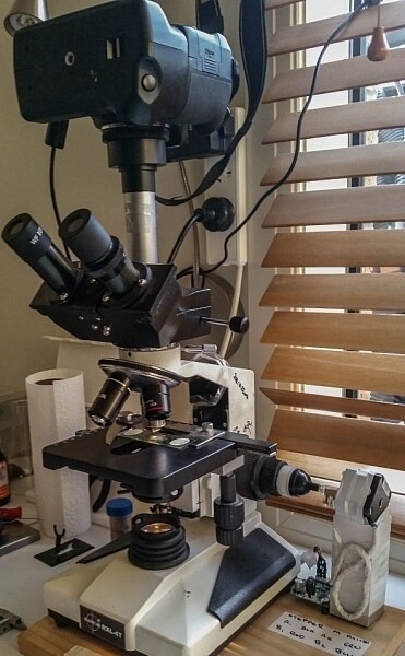 My Nikon attached to the microscope.