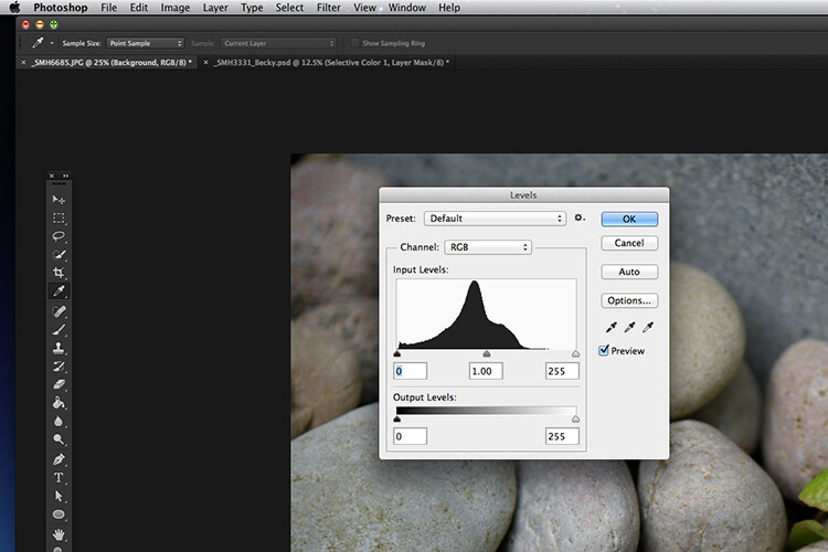My 3 Go-To Adjustment Layers in Photoshop 2 levelsimageadjustments