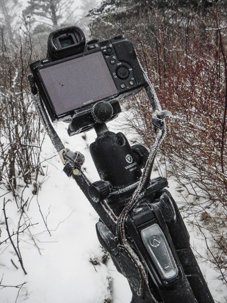 Winter Frozen Camera 1