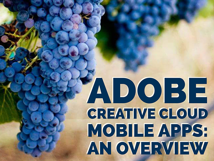 An Overview of 8 Adobe Creative Cloud Mobile Apps