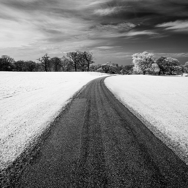 How to Convert a Camera to Infrared for Black and White Landscape Photography