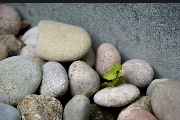 My 3 Go-To Adjustment Layers in Photoshop 7 tonal-adjustments