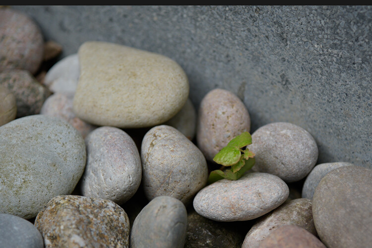 My 3 Go-To Adjustment Layers in Photoshop 6 unedited image