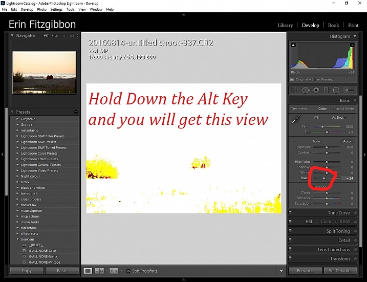 Alt key Lightroom Develop module black point slider. 