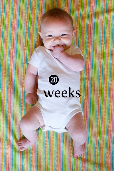 How to Use Photoshop to Create Milestone Photos of Babies adding the text