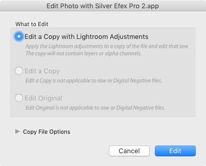 Selective coloring in Silver Efex Pro 2