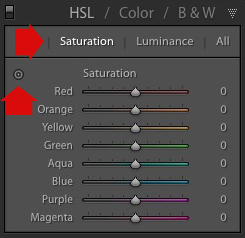 Selective coloring in Lightroom