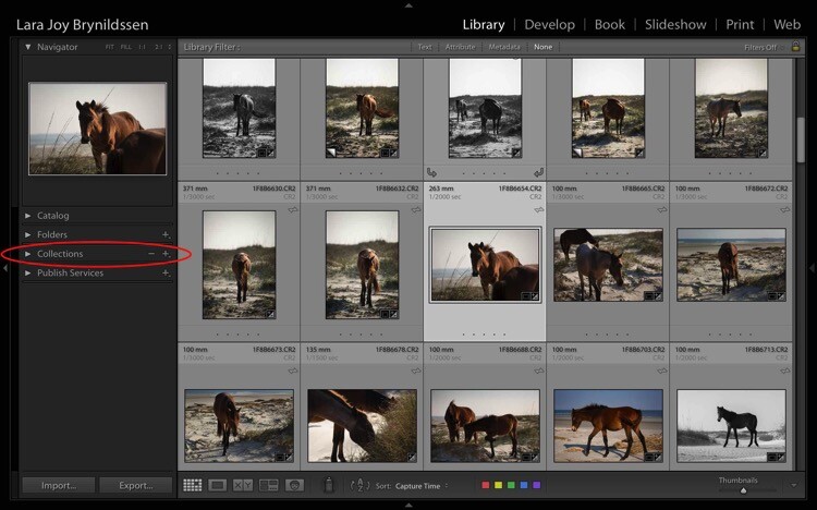 Four Advantages Lightroom Collections 1