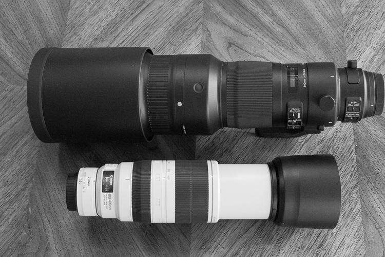 Sigma 500mm F4 Sport Lens Review 10