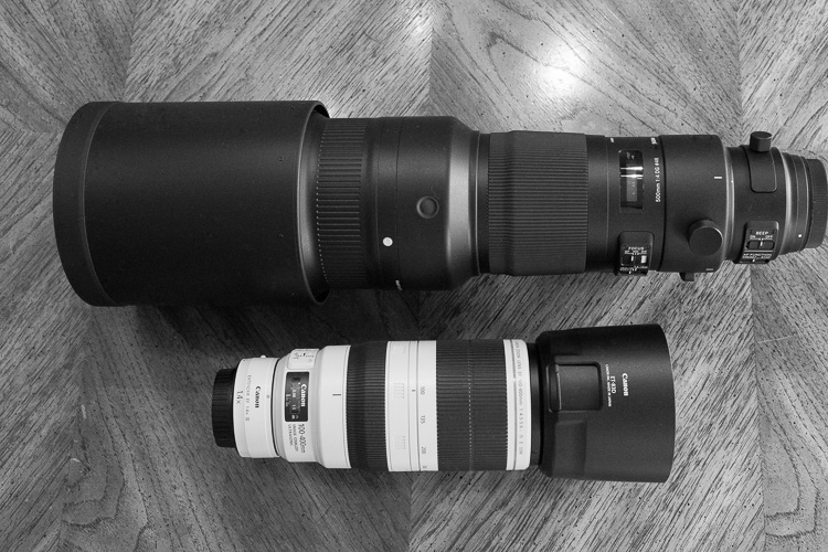 Sigma 500mm F4 Sport Lens Review 9