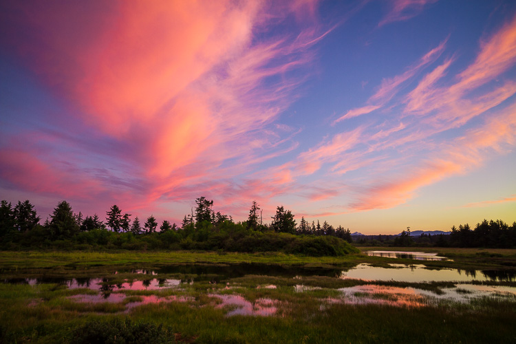 Estuary in Campbell River BC by Anne McKinnell - 5 Common Post-Processing Mistakes to Avoid