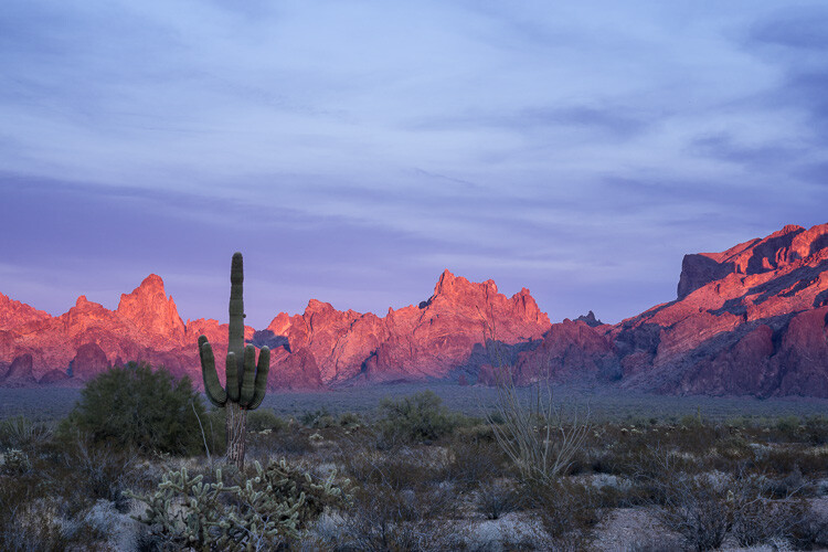 Kofa National Wildlife Refuge, Arizona by Anne McKinnell - 5 Common Post-Processing Mistakes to Avoid