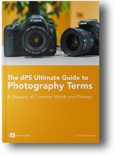 Ultimate Photography Glossary