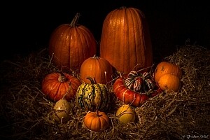 Grahamvphoto