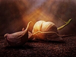 Violscraper