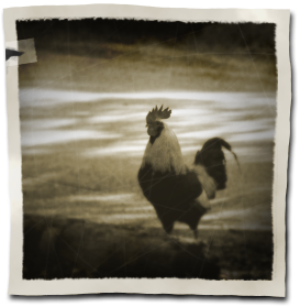 Antiquing Digital Images in Photoshop - Part 2