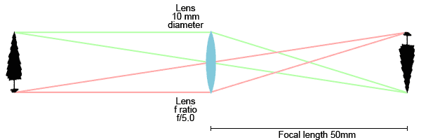 How does a lens work?