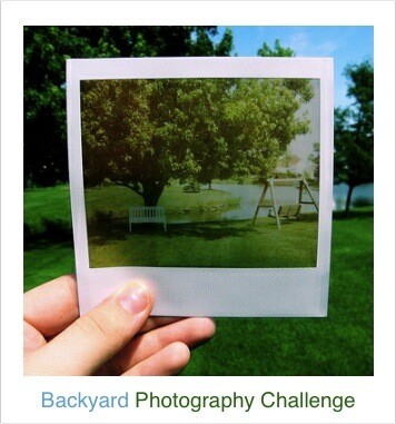 Backyard Photography Challenge