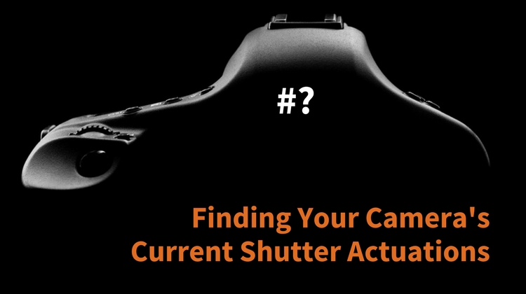 shutter counter camreea
