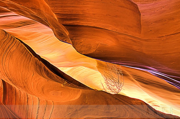 photographing Antelope Canyons 2.jpg