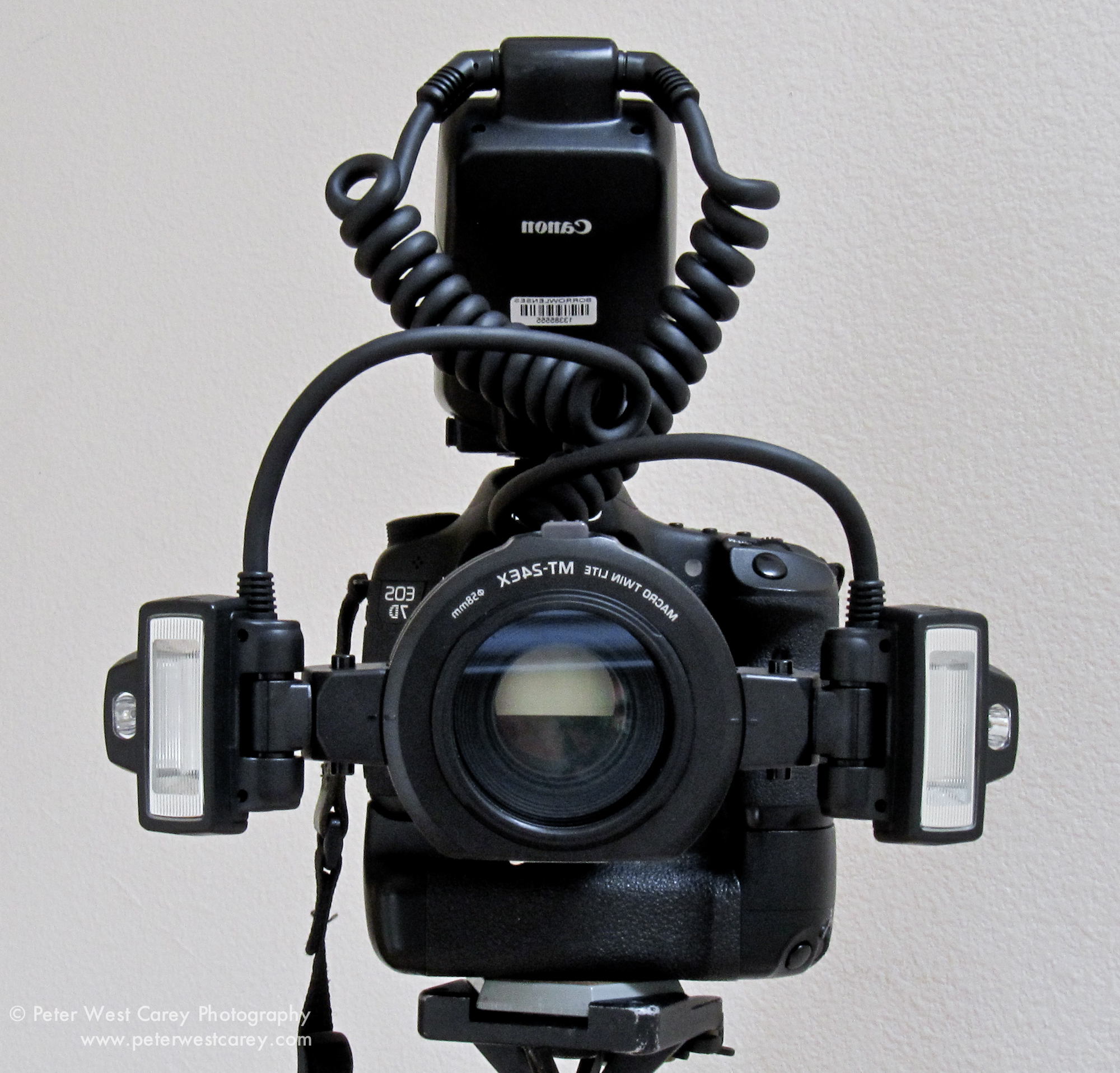 Meike FC 100 Speedlite Macro LED Ring Flash Light Studio Photo For Nikon  D200 D3100 Canon EOS 70D 60D T4i T3i 6D DSLR Camara - AliExpress