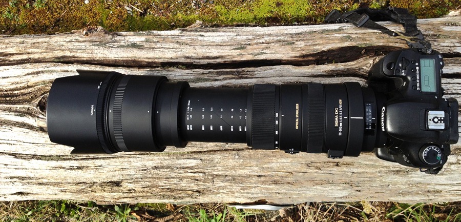 Sigma 50-500mm F4.5-6.3 APO DG OS HSM [REVIEW]