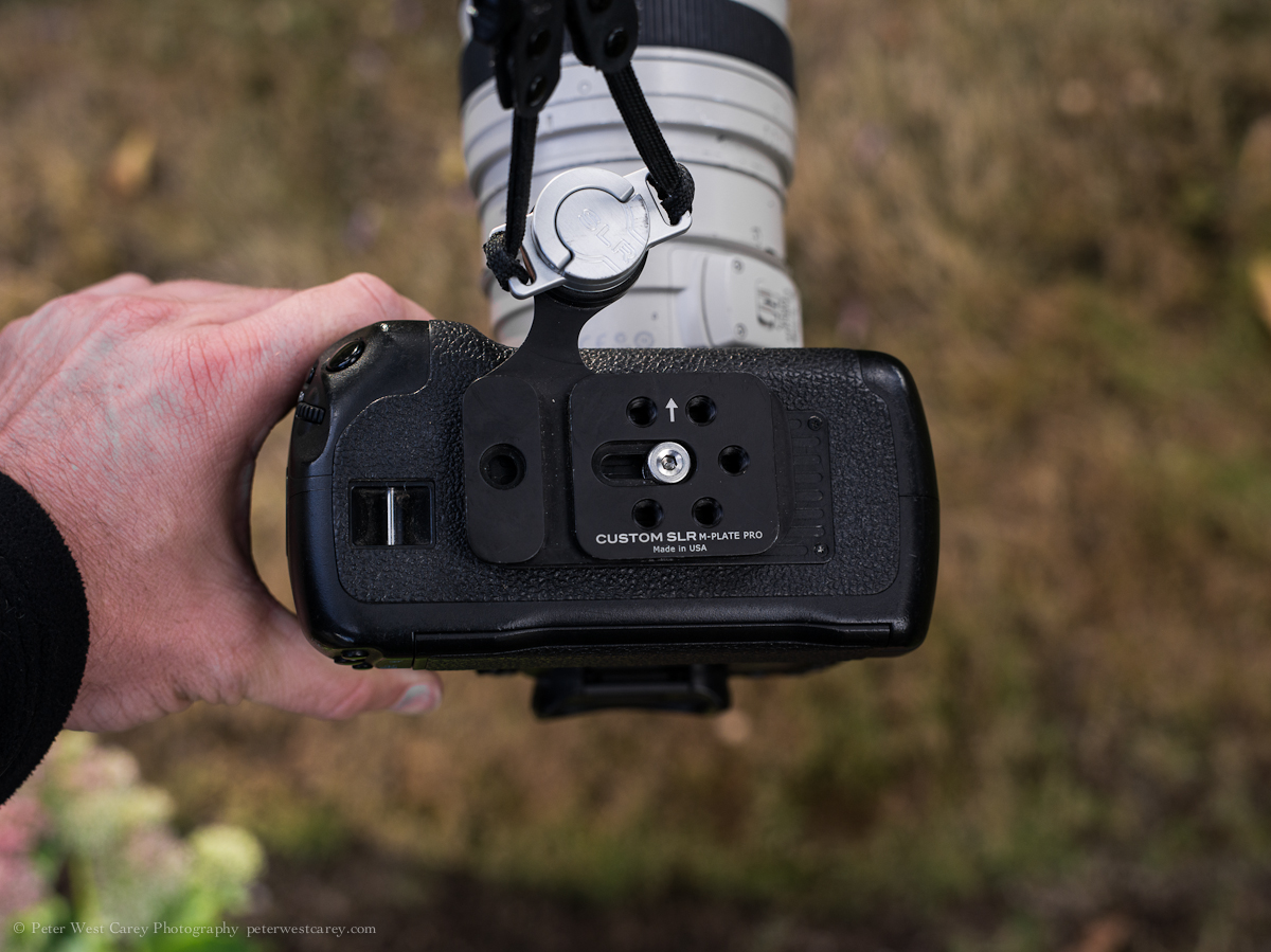 Custom SLR Glide Strap, C-Loop And M-Plate Pro [REVIEW]