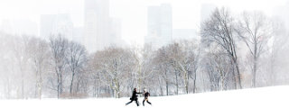 Couple in Sheep Meadow, Central Park