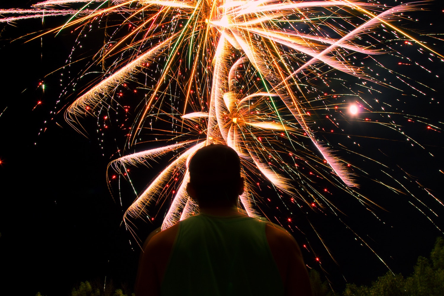23 Powerful Tips for Successful Fireworks Photography