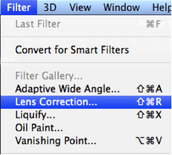 Photoshop filter lens correction vignette