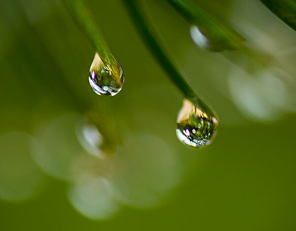 5 Reasons Why Bad Weather Days are the Best Times for Photography