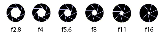 How to Control Aperture and Create Images You Love